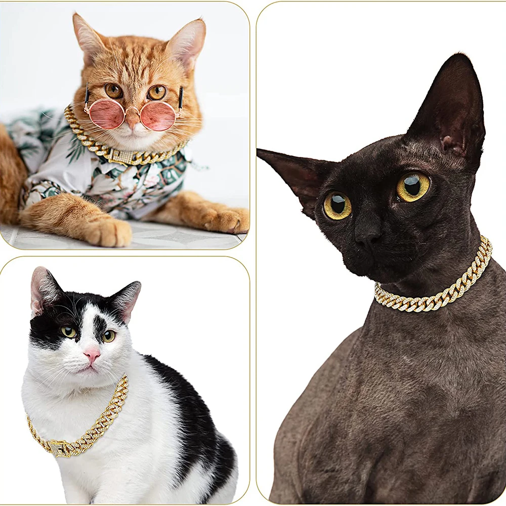 Collier chaîne pour chien en s - Chain Quick Link avis et prix